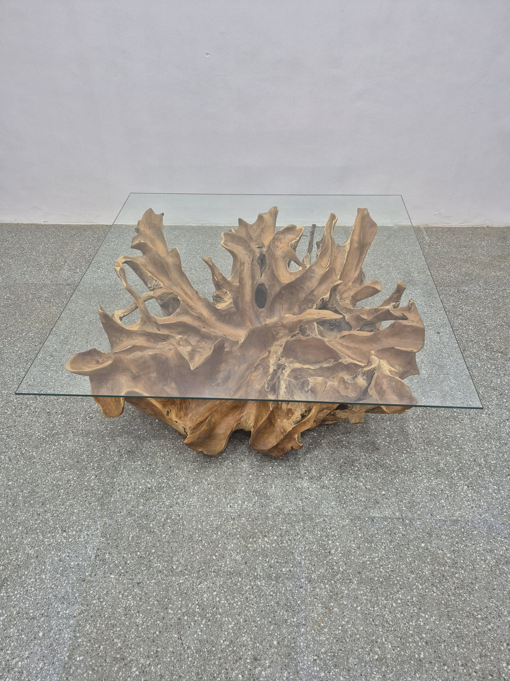 Root Coffee Table