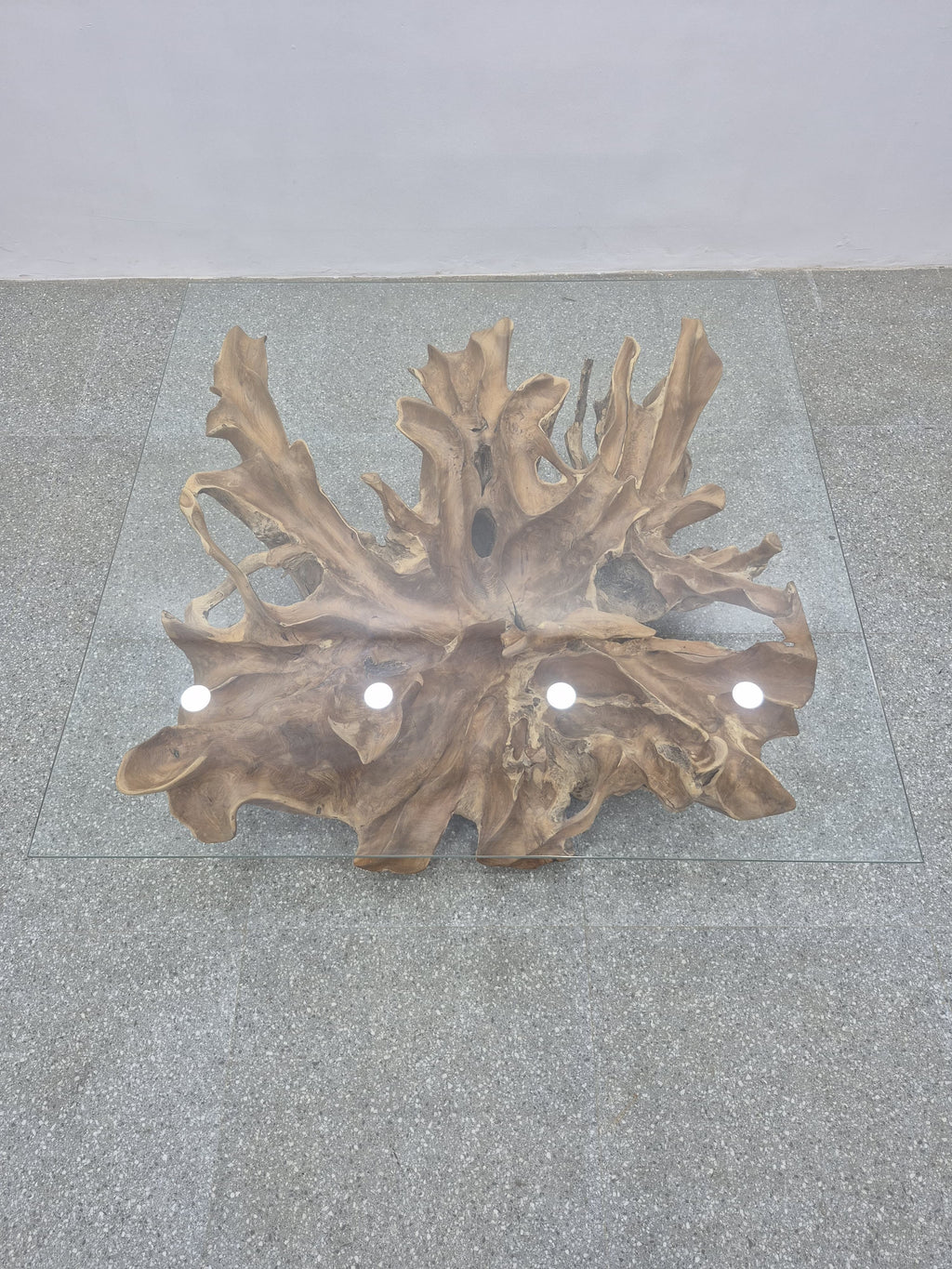 Root Coffee Table