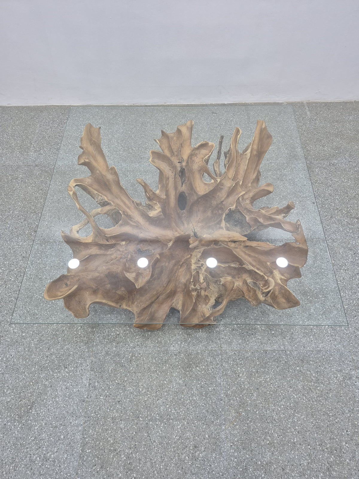 Root Coffee Table