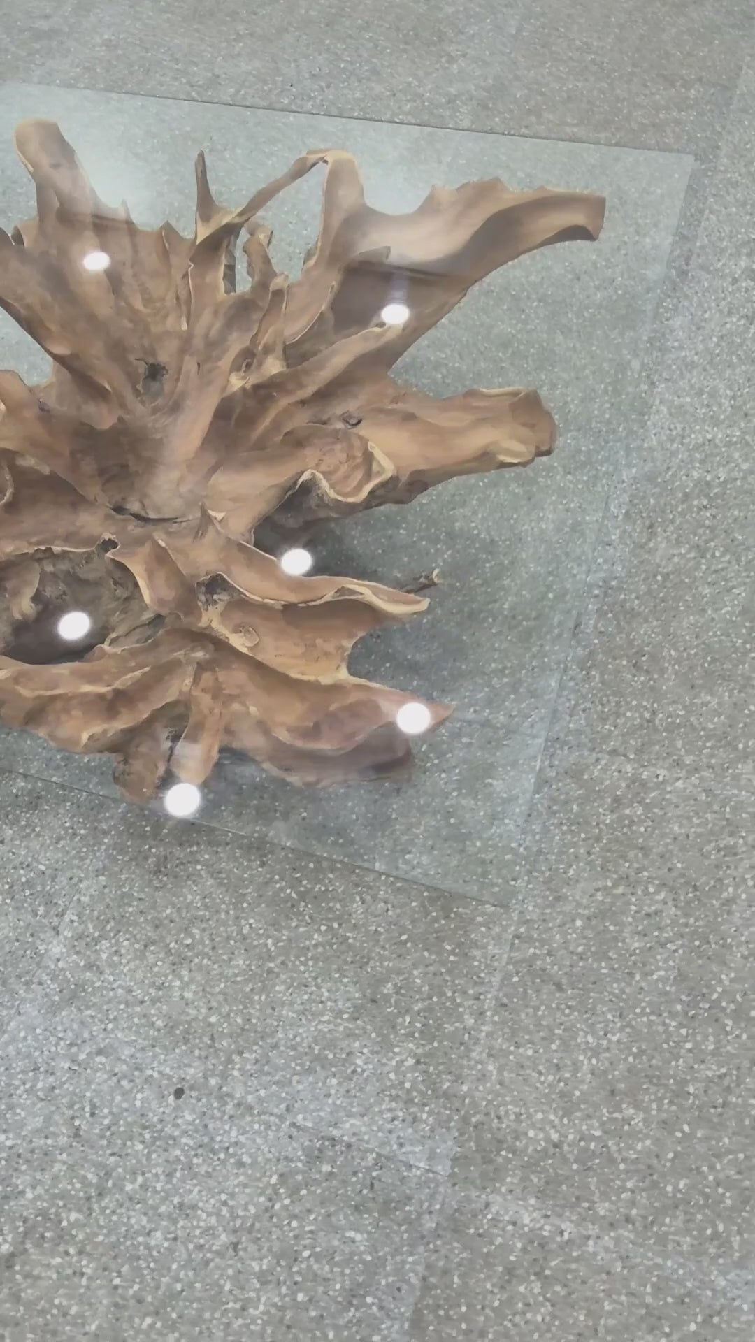 Root Coffee Table